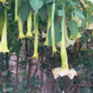 Meet your Posher, Karla